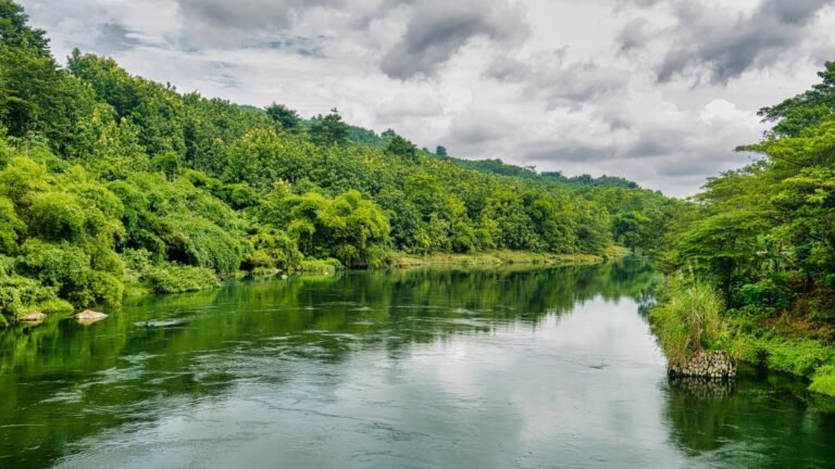 Guía práctica para implementar economía circular en tu empresa en 90 días – Copy – Copy